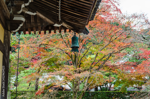 Obraz na płótnie 京都の紅葉 w salonie