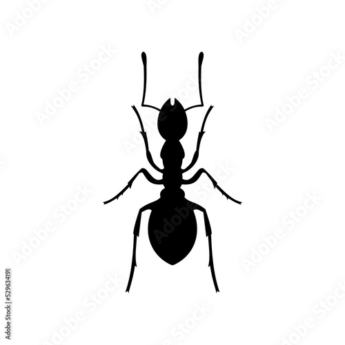 Best Black Ant Icons Vector On White Background. fits All vector flat icons related Insect isolated, or ant illustration. Simple illustration of Farmer ant vector icon for web design isolated. © YOUR LABEL