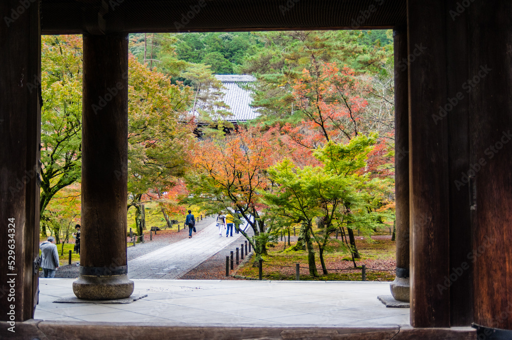 京都の紅葉