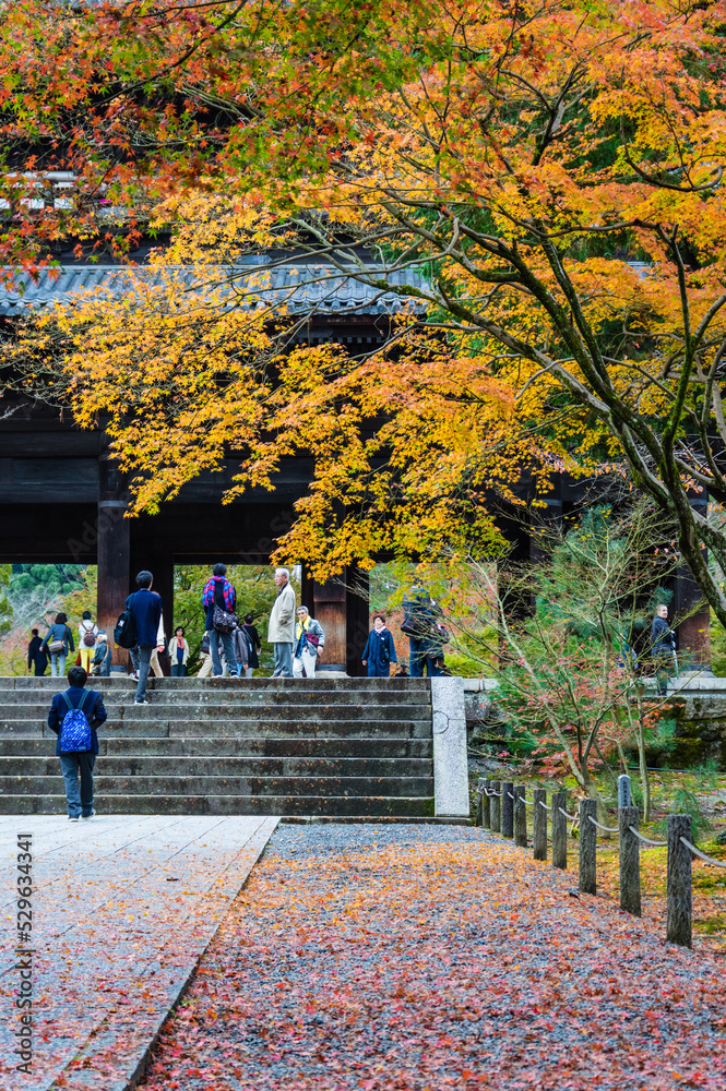 京都の紅葉