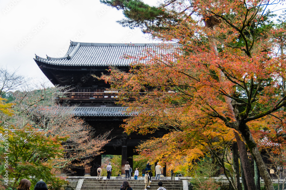 京都の紅葉