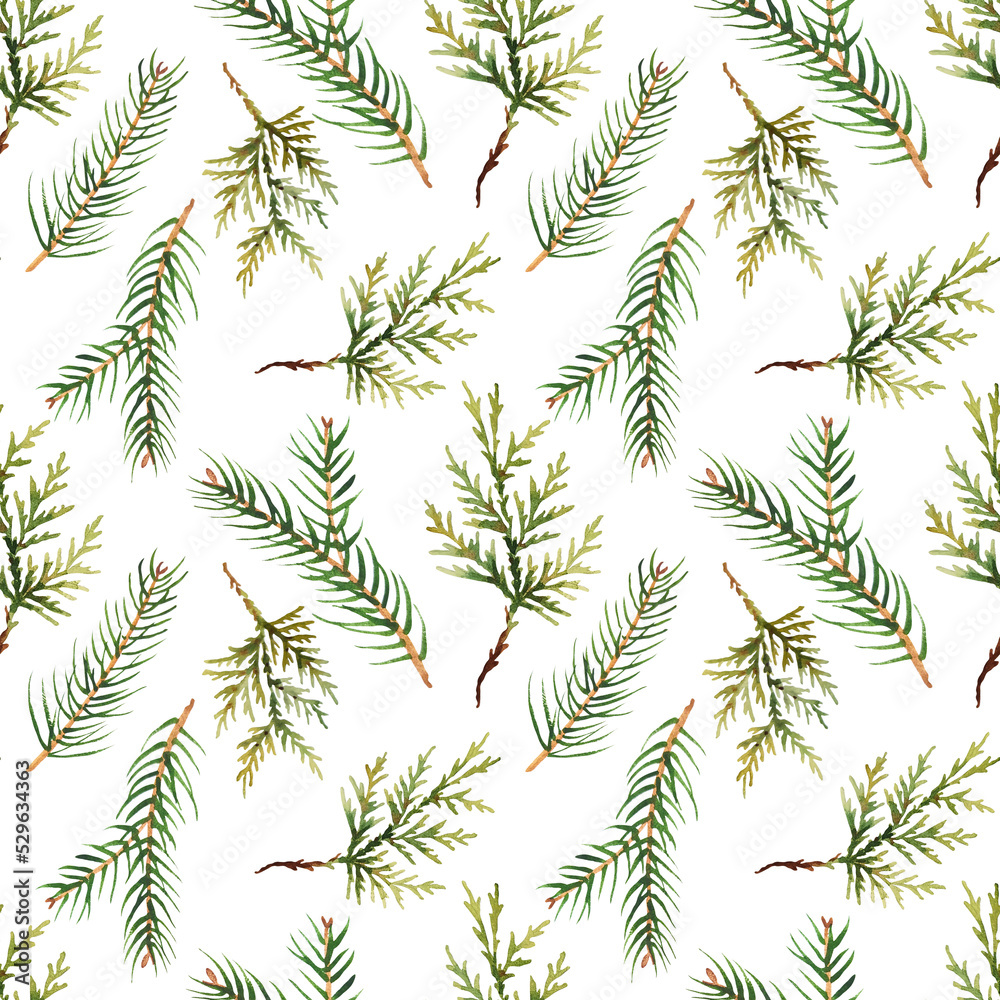Fototapeta premium Watercolor pattern with evergreen branches of spruce and thuja. For eco green design or christmas decor