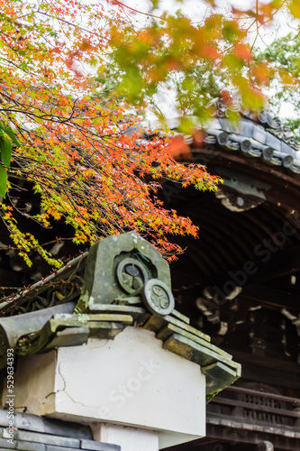 京都の紅葉