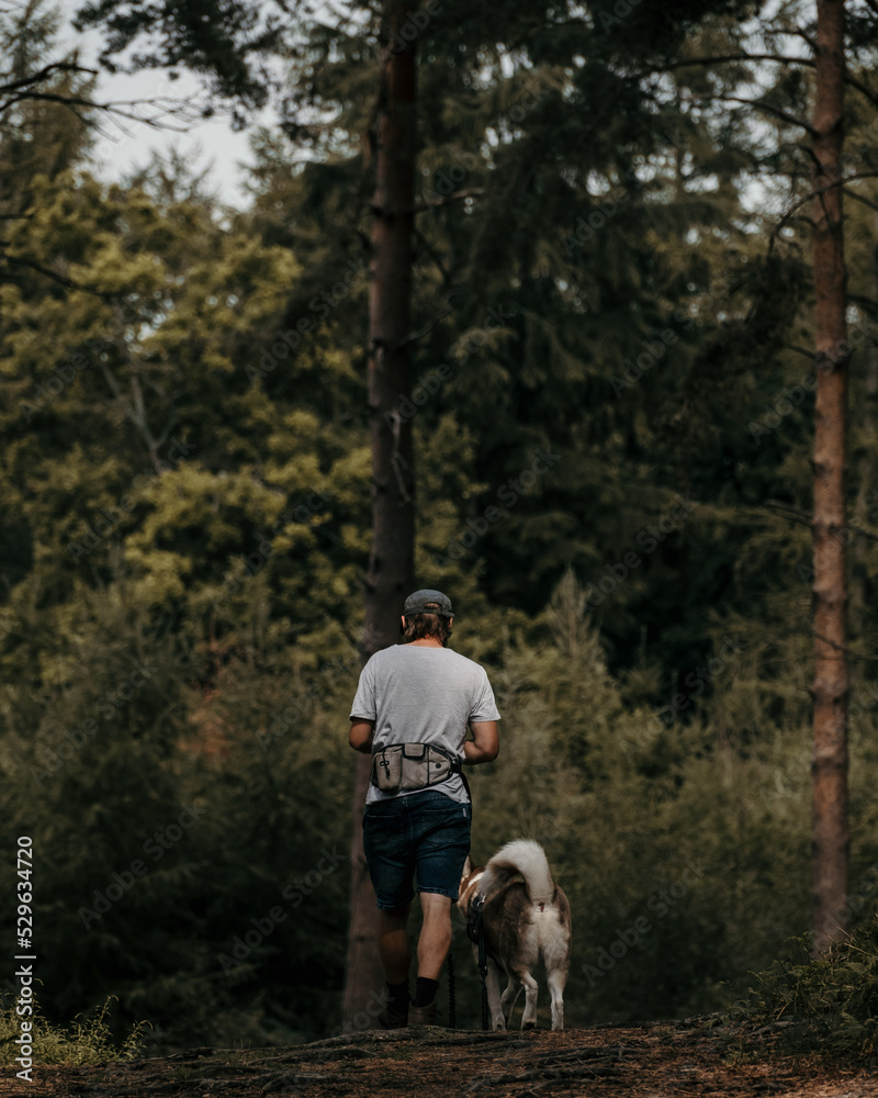 man and husky dog walking in woodland man and husky dog walking in woodland