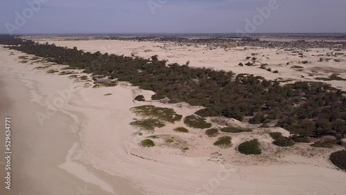 Aerial footage of huge beach with bushes on top and dry land after, ocean waves crashing, Retba lake, Dakar, Senegal, panning along the beach. photo