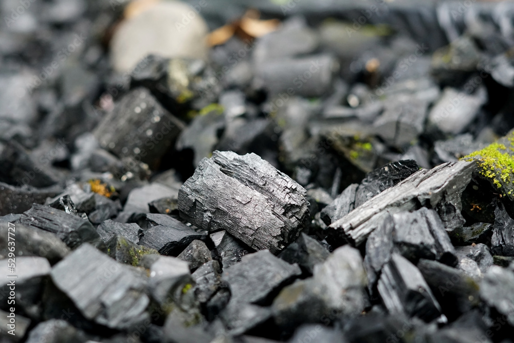 selective focus of pile of dried wood charcoal selective focus of pile of dried wood charcoal