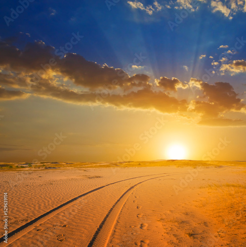 road through the sandy desert at the sunset