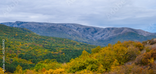 red autumn mountain valley under pale cloudy sky © Yuriy Kulik
