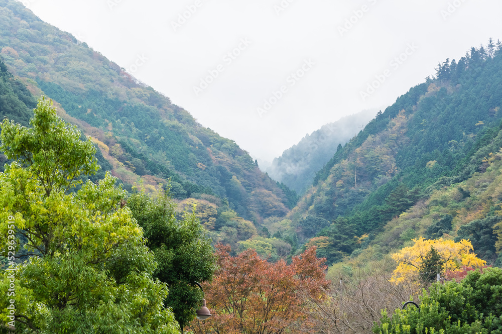 大阪府岸和田大威徳寺の秋風景