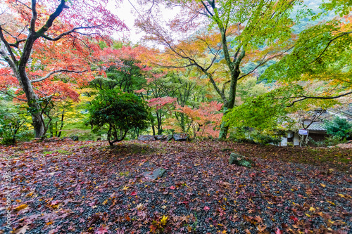 大阪府岸和田大威徳寺の秋風景