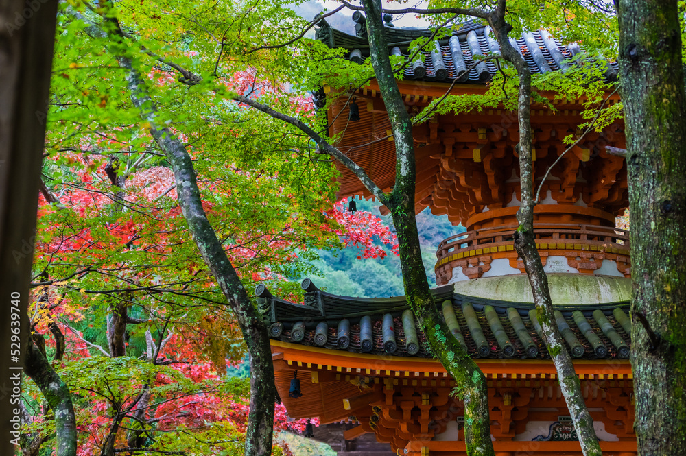 大阪府岸和田大威徳寺の秋風景