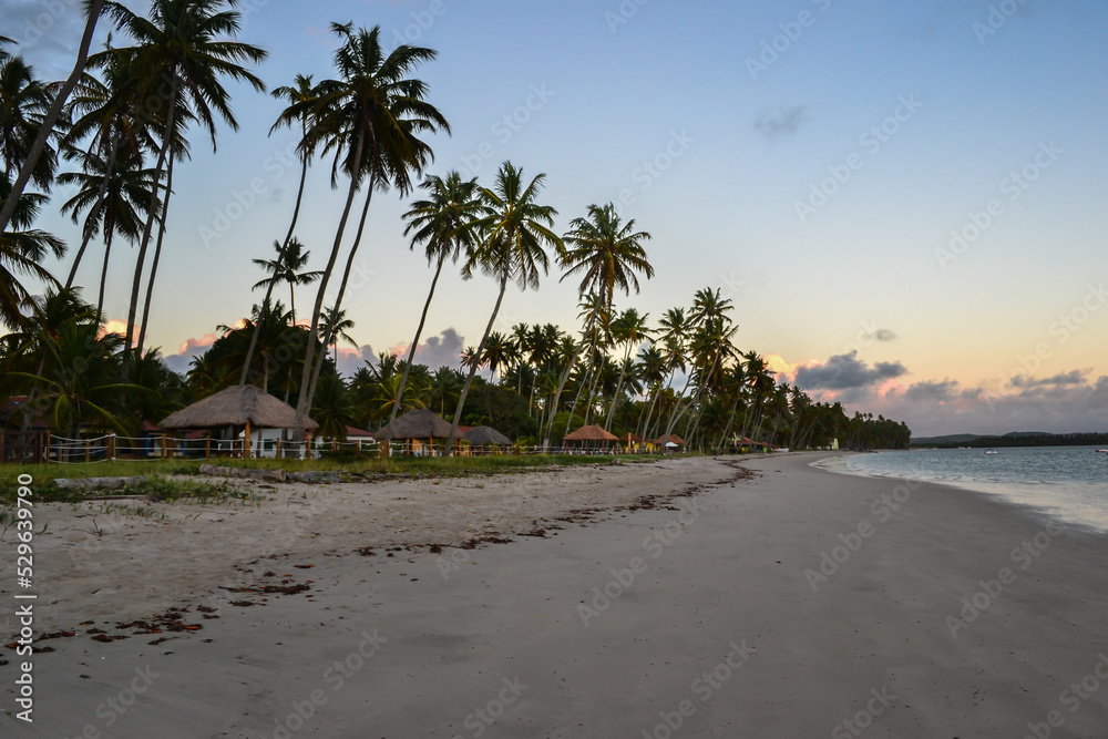 Praia de Carneiros - Pernambuco