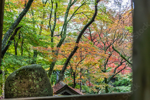Obraz na płótnie 大阪府岸和田大威徳寺の秋風景 w salonie