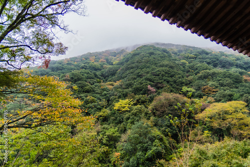 大阪府岸和田大威徳寺の秋風景