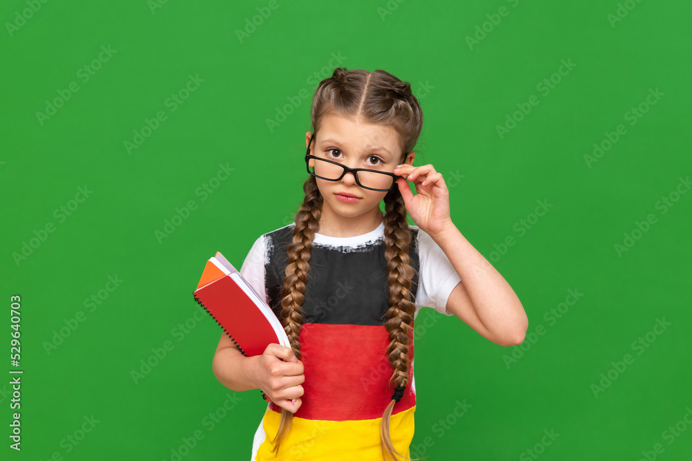 A thoughtful child with a German flag and a notebook in his hands on a green isolated background. German language courses for schoolchildren. A thoughtful child with a German flag and a notebook in his hands on a green isolated background. German language courses for schoolchildren.