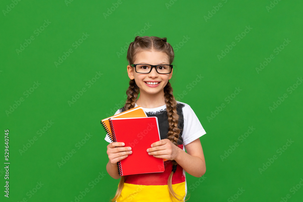 A child learns German on a green isolated background. A beautiful little girl with glasses with a German flag and notebooks on a green isolated background. A child learns German on a green isolated background. A beautiful little girl with glasses with a German flag and notebooks on a green isolated background.