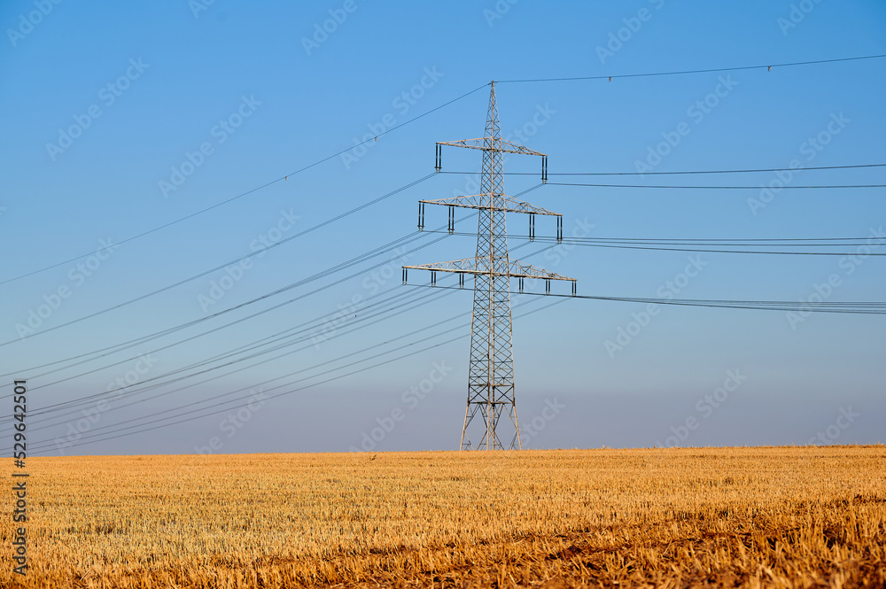 power pole in a corn field in front of the blue sky in Germany with copy space power pole in a corn field in front of the blue sky in Germany with copy space