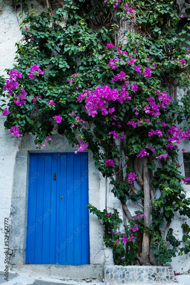 Narrow and colorful street in the village of Kritsa in the island of Crete. White street, beautiful traditional housing in Greece. Narrow and colorful street in the village of Kritsa in the island of Crete. White street, beautiful traditional housing in Greece.