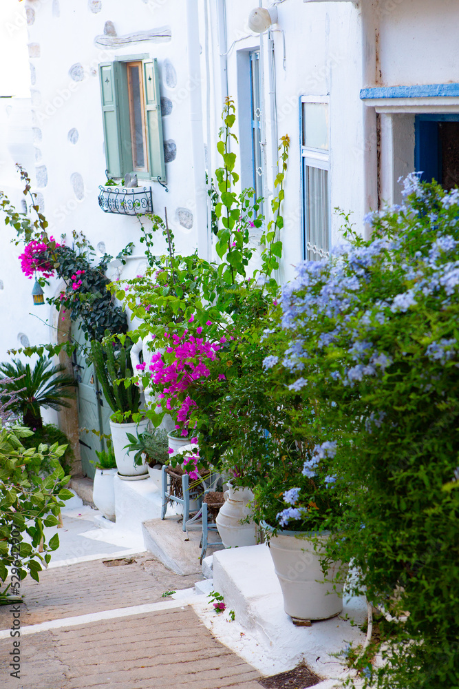 Narrow and colorful street in the village of Kritsa in the island of Crete. White street, beautiful traditional housing in Greece. 