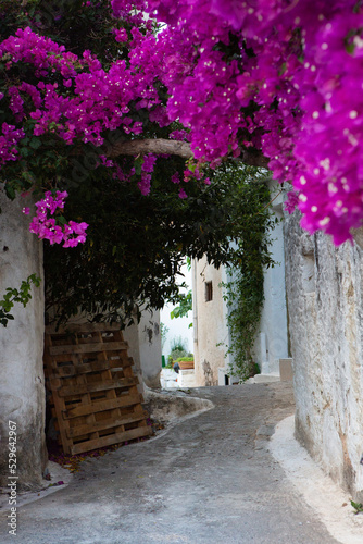 Narrow and colorful street in the village of Kritsa in the island of Crete. White street  beautiful traditional housing in Greece. 