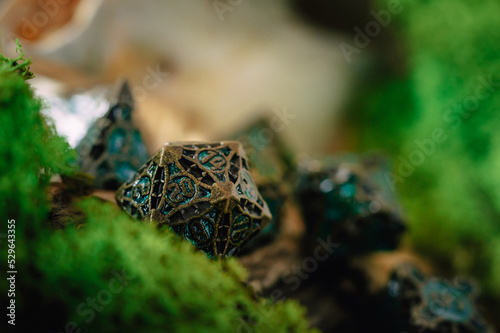 Dungeons and Dragons Dice - Metal D20 in a forest with moss and wood for roleplay games as Pathfinder, Warhammer, Vampire the Masquerade, 7th Sea and Savage Word