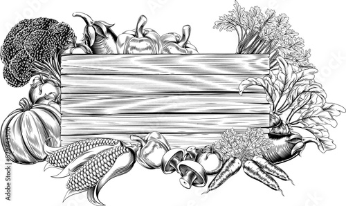 Vintage retro woodcut veget...
