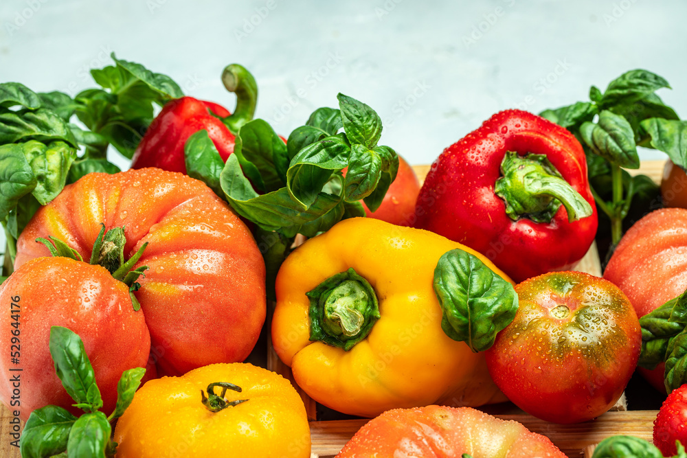 fresh tomatoes, sweet peppers and basil on white table. Healthy food. Gardening. place for text, top view