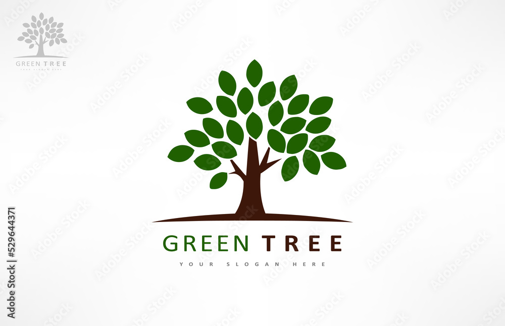 Obraz premium Tree logo vector. Plant Logo design vector nature illustration.
