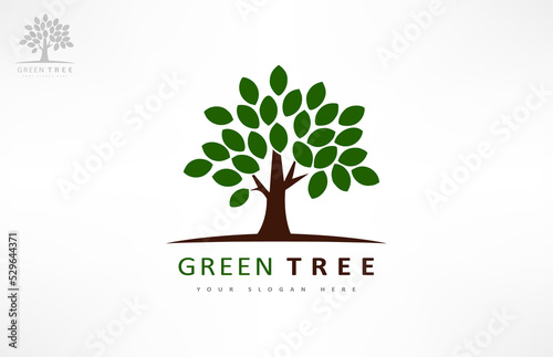 Tree logo vector. Plant Logo design vector nature illustration.