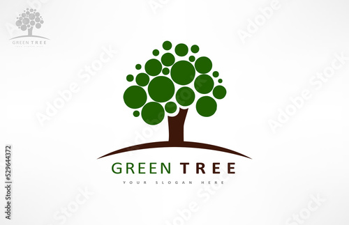 Tree logo vector. Plant Logo design vector nature illustration.