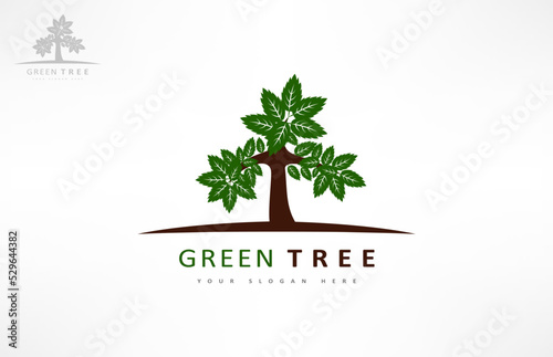 Tree logo vector. Plant Logo design vector nature illustration.
