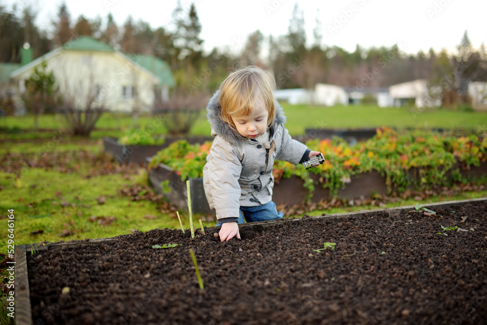 Funny toddler boy having fun outdoors on chilly autumn day. Child exploring nature. Autumn activities for kids. Funny toddler boy having fun outdoors on chilly autumn day. Child exploring nature. Autumn activities for kids.