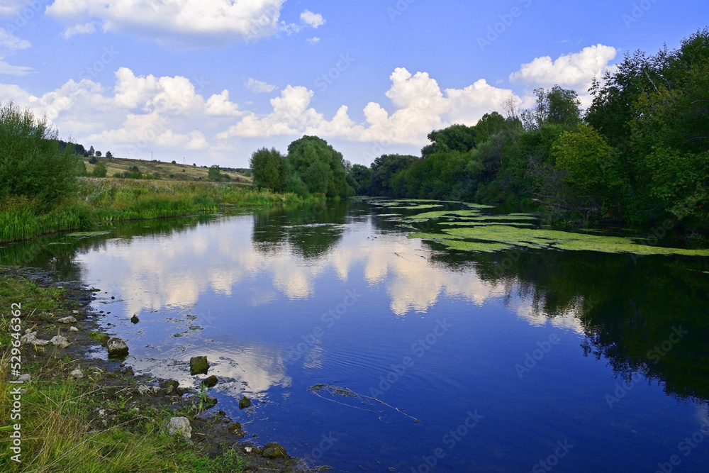 Fototapeta premium Panorama of the Shakva River near the former village of Lyagushino