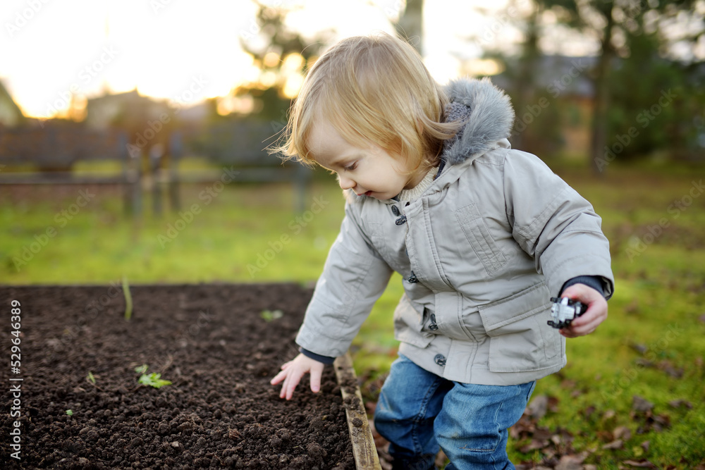 Funny toddler boy having fun outdoors on chilly autumn day. Child exploring nature. Autumn activities for kids. Funny toddler boy having fun outdoors on chilly autumn day. Child exploring nature. Autumn activities for kids.