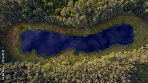 lake in the forest with swamp on the edges