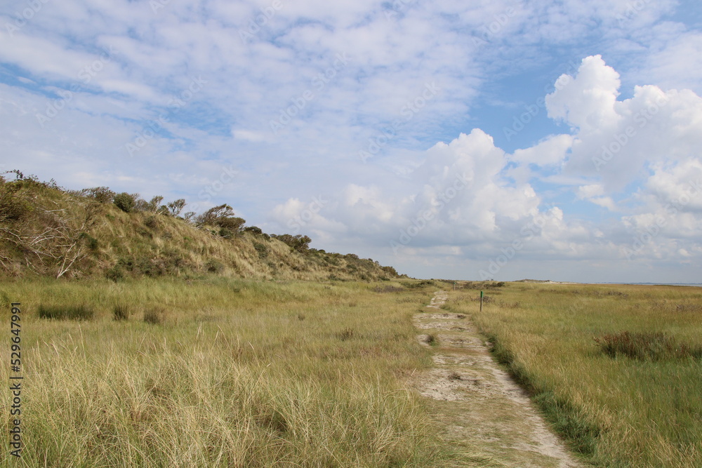Hiking path to the Kalfamer | East Frisian Island Juist