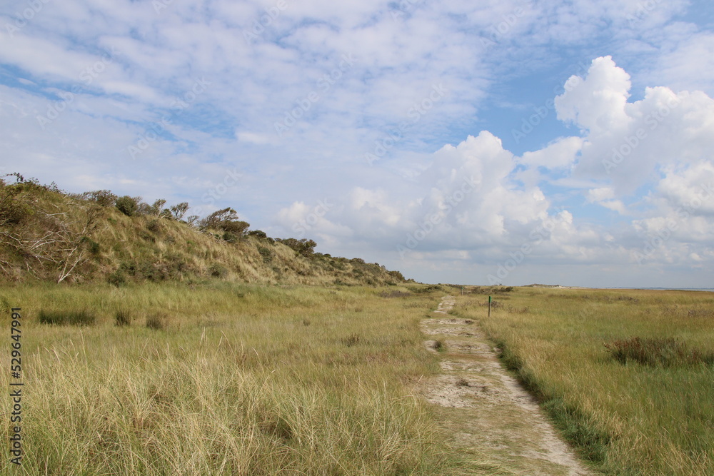 Obraz premium Hiking path to the Kalfamer | East Frisian Island Juist