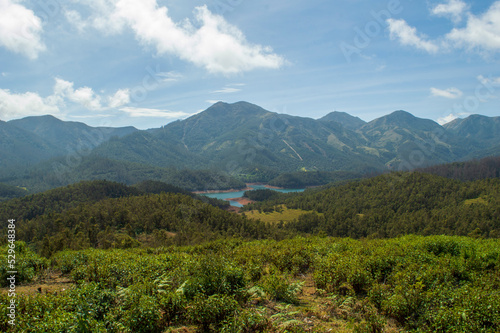 Towering mountains  sprawling tea gardens  rivers  nature s gift of greenery everywhere is the way one can explain the beauty of Ooty.