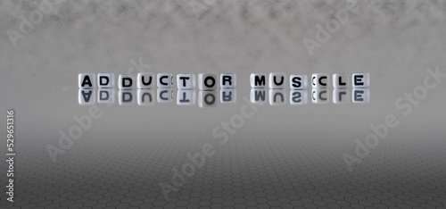 adductor muscle word or concept represented by black and white letter cubes on a grey horizon background stretching to infinity