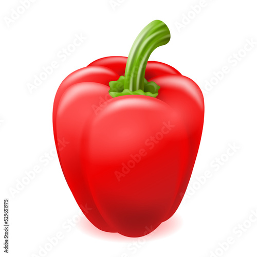Capsicum paprika pepper illustration in 3D style