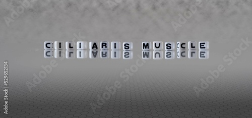 ciliaris muscle word or concept represented by black and white letter cubes on a grey horizon background stretching to infinity