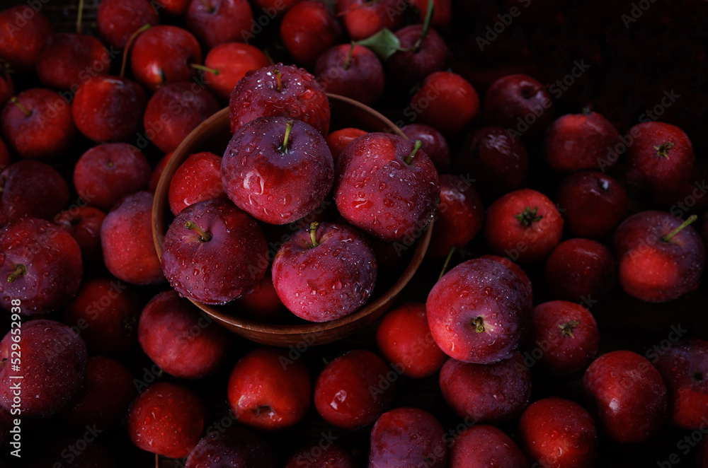 Full plate of fresh red apples. Background from ripe red apples. Full plate of fresh red apples. Background from ripe red apples.