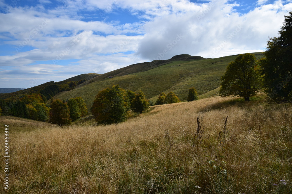 Fototapeta premium Pian del Cansiglio