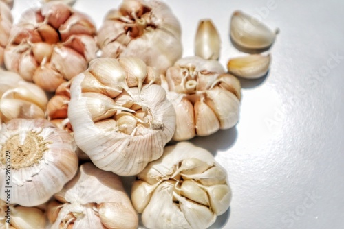 raw garlic bulb isolated on white background
