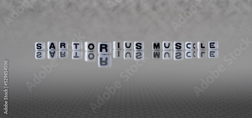 sartorius muscle word or concept represented by black and white letter cubes on a grey horizon background stretching to infinity photo