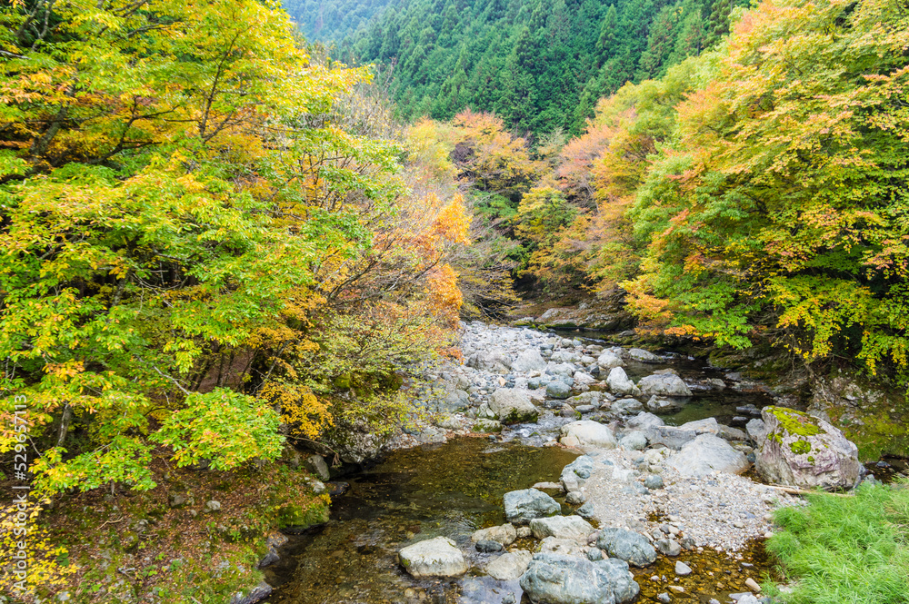 奈良県天川村の秋風景