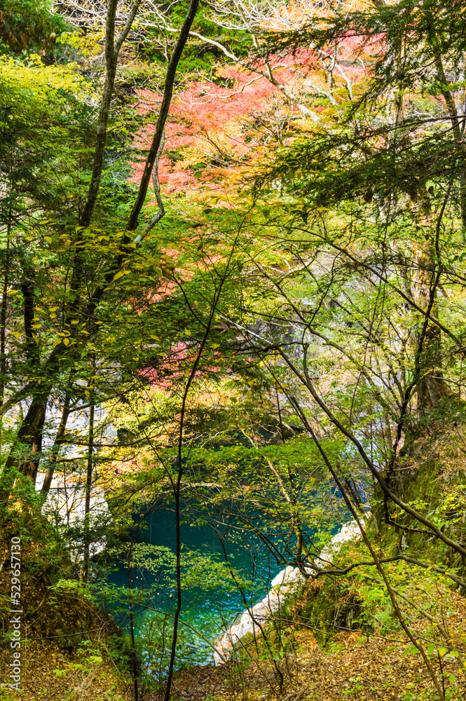 奈良県天川村の秋風景