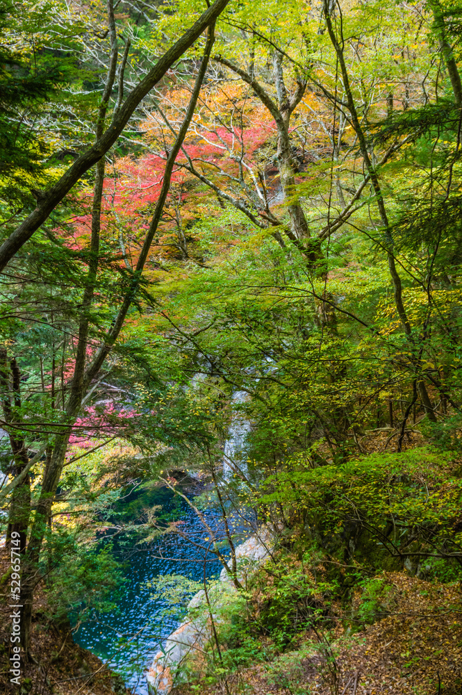 奈良県天川村の秋風景