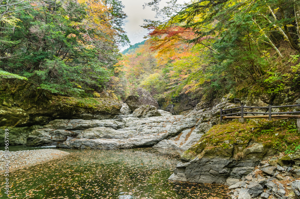 奈良県天川村の秋風景