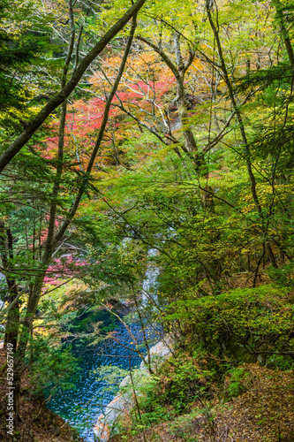 Obraz na płótnie 奈良県天川村の秋風景 w salonie